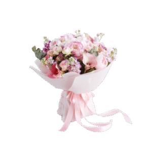 Pretty Pink Rose